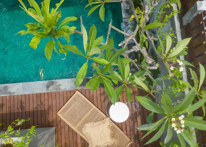 Sundaze - Cozy In Canggu With Private Pool